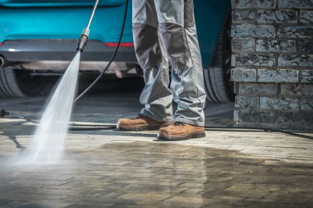 Best Fleet Vehicle Washing  in Wautoma, WI