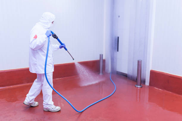 Best Spring Cleaning  in Wautoma, WI